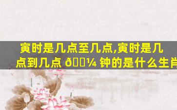 寅时是几点至几点,寅时是几点到几点 🐼 钟的是什么生肖